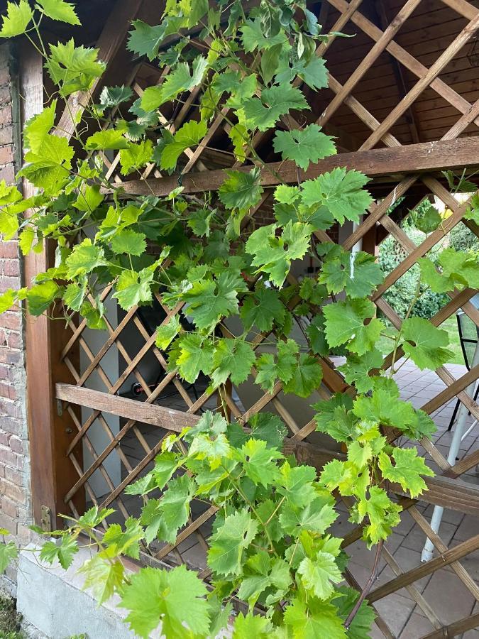 Apartament Z Ogrodem Harcerska 4 Zamość Zewnętrze zdjęcie